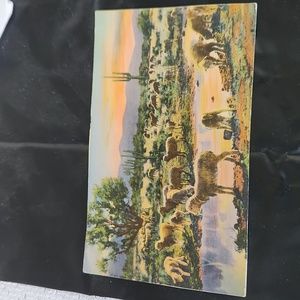 TWILIGHT AT DESERT WATER-HOLE ARIZONA SHEEP DRINKING 1937 POSTCARD.